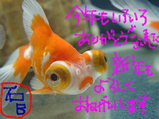 むはっ