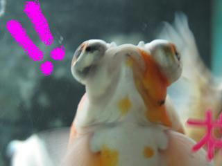 ビックり～