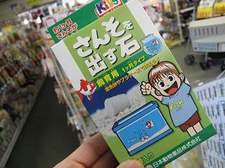 8個いり