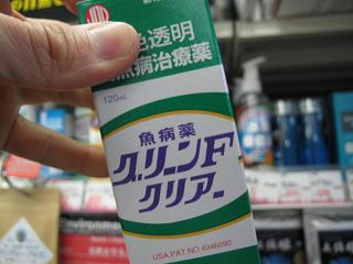 透明でーす!