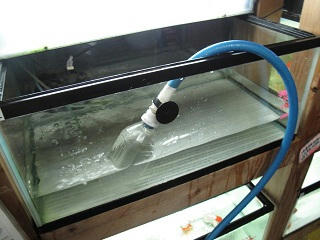 お水交換中！