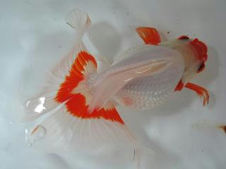 １