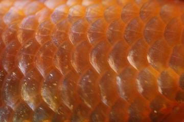 １
