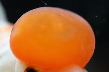 １