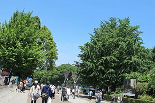 上野公園