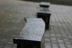 雨強し