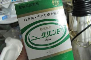 定番です！