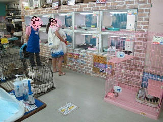 犬舎です！