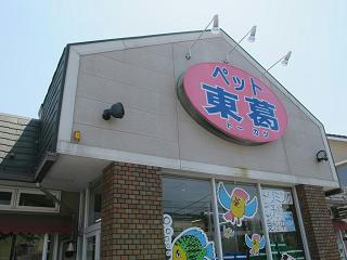 マニアックな上田店長