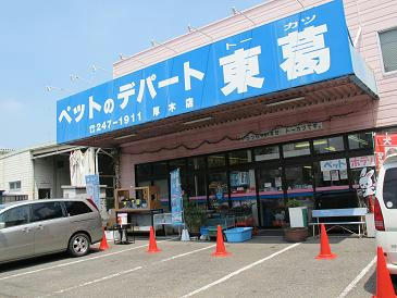 あっちいなぁ