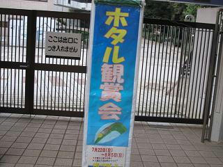 じゃじゃーん!
