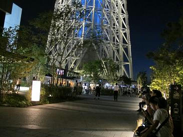 みんな撮ってた!