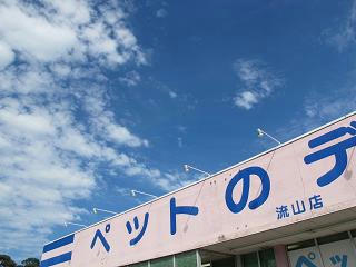 流山店