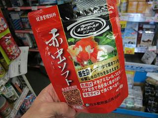 大きいサイズ