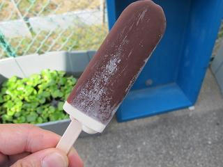 チョコおいし～