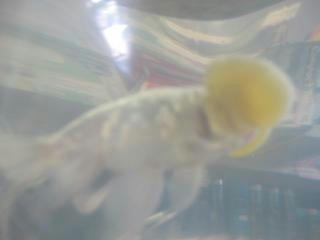 元気でね。