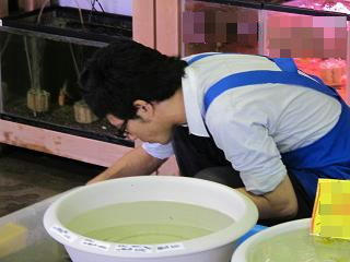 水温計ってます。
