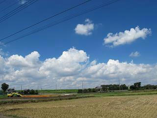 江戸川～