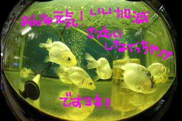 撮影もうそろそろです