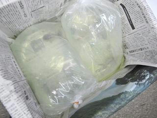 ばっちし。梱包です！