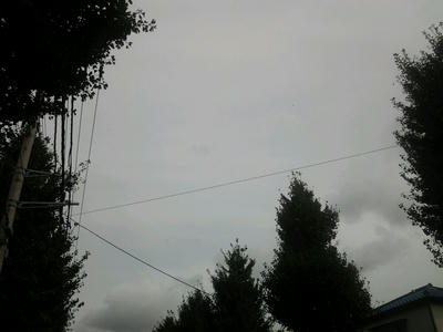 487149591274.jpg