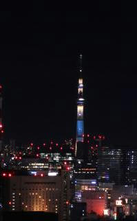 粋です