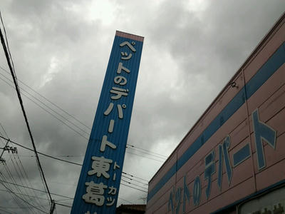 489920157869.jpg