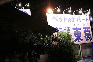 結構来てます