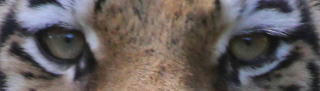 I5
