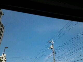 雲ひとつないいい天気！