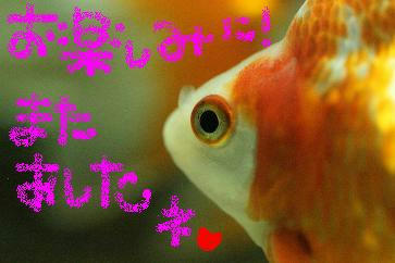 ありがとうございました