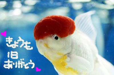 おつかれちゃん！