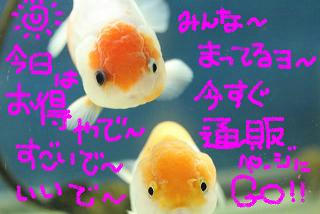 元気にみなさんをお待ちいたしております!