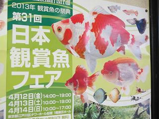 今回も4本だします！