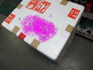 完成なのだ！
