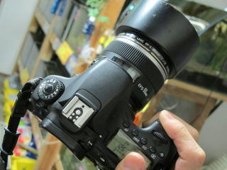 60D+EF-S50mm
