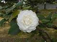 PICT0016pp.JPG