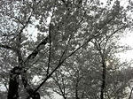 PICT0002p.JPG