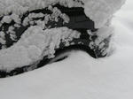 700e6206.jpeg
