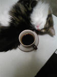 080401_214637.jpg