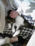 080329_203620.jpg