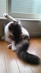 080608_180807.jpg
