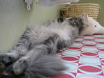 53537d40.jpg