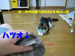 fb57819d.jpg