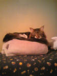081208_200925.jpg