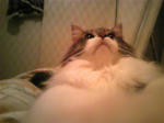 081028_010919_ed.jpg