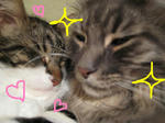 LOVE.JPG