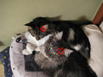 LOVE3.JPG