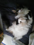 090601_113603.jpg