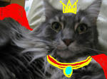 King.JPG